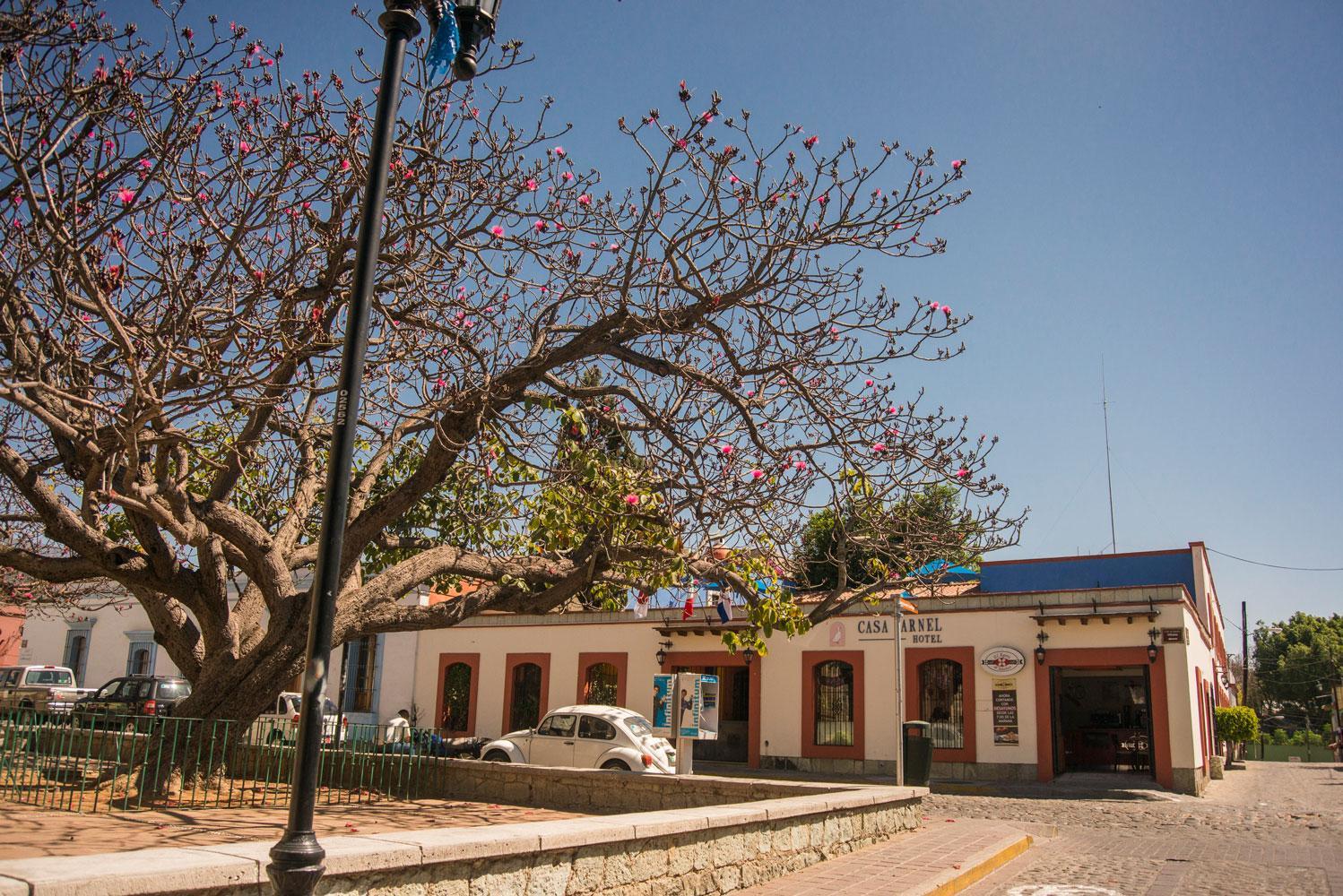 Hotel Casa Arnel Oaxaca Exterior photo